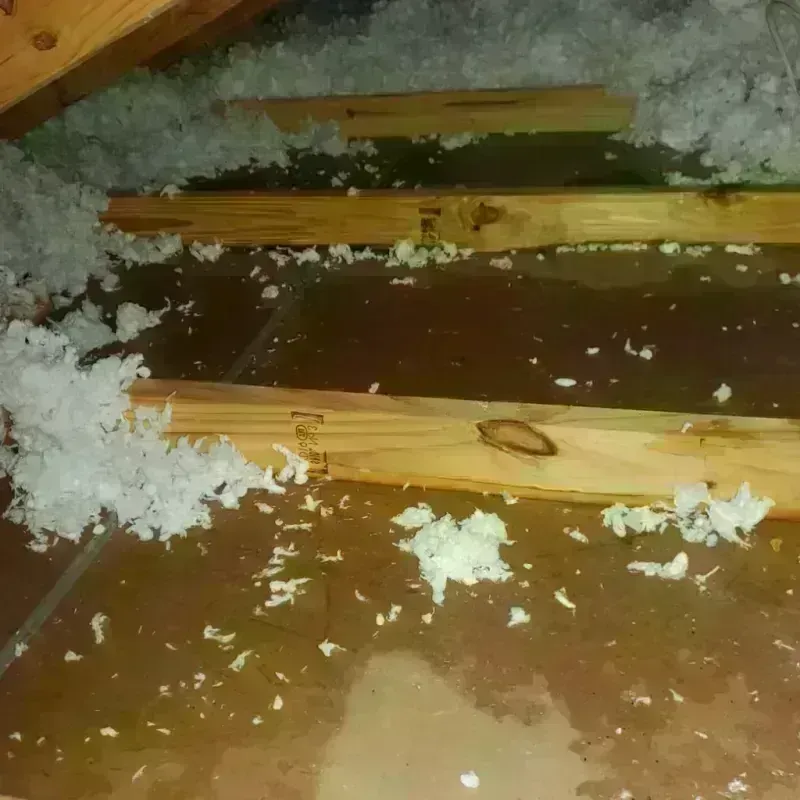 Attic Water Damage in Trenton, IL