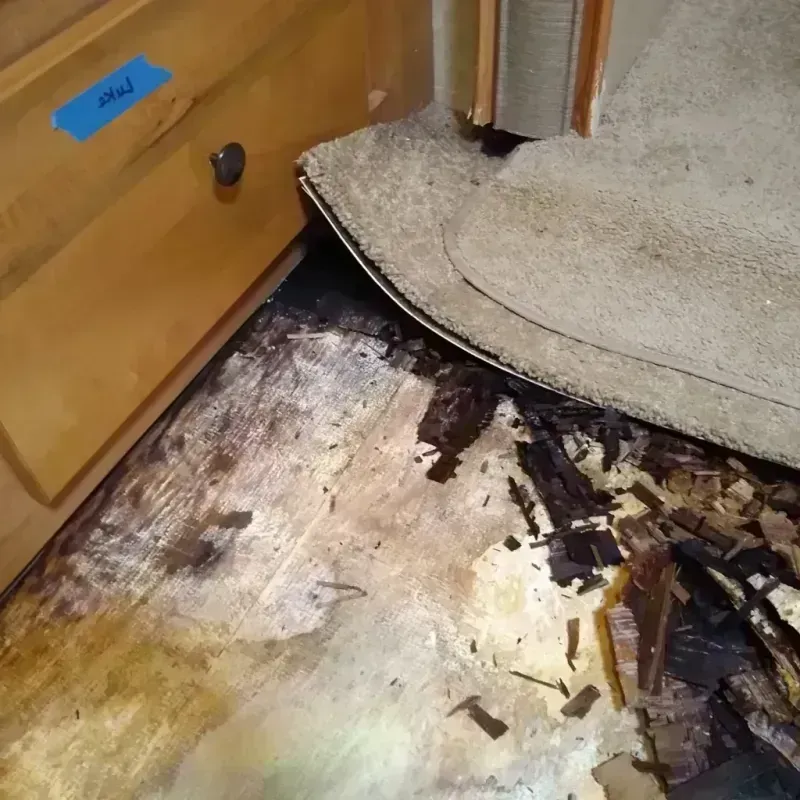 Wood Floor Water Damage in Trenton, IL